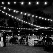 first dance before or after dinner: A Dance of Timing and Tradition