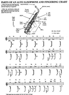 How to Read Saxophone Sheet Music: A Guide for Beginners with Insightful Tips